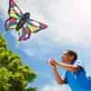 Beautiful Butterfly Kite