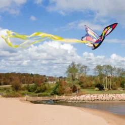 Beautiful Butterfly Kite