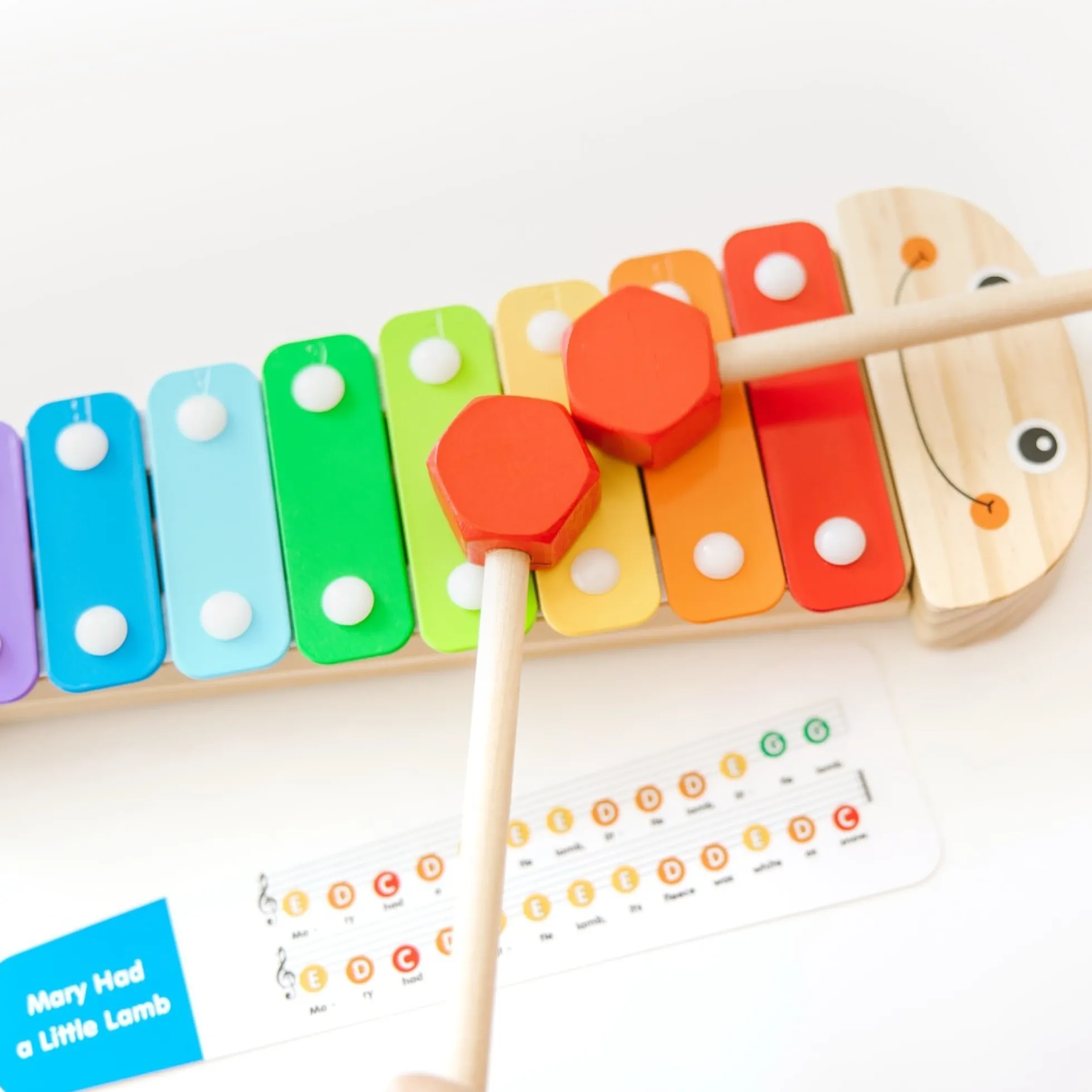 Caterpillar Xylophone