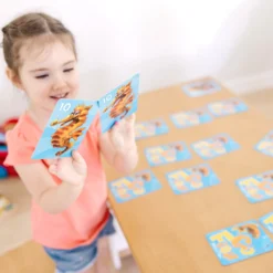 Classic Card Game Set