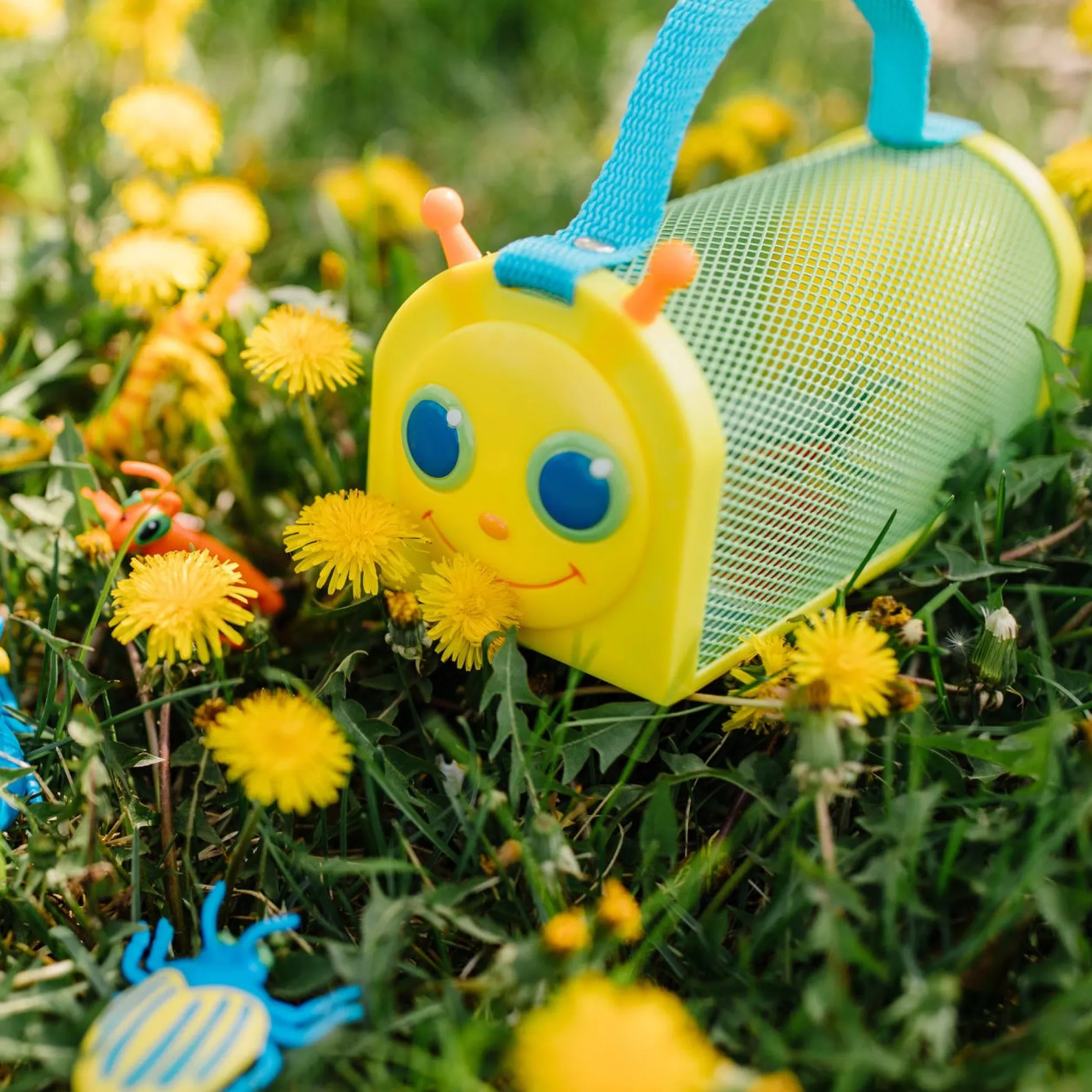 Giddy Buggy Bug House