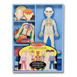 Magnetic Human Body Play Set