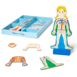 Magnetic Human Body Play Set