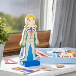 Magnetic Human Body Play Set