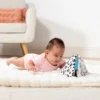 Ocean Tummy Time Triangle Baby Toy