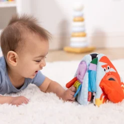 Ocean Tummy Time Triangle Baby Toy
