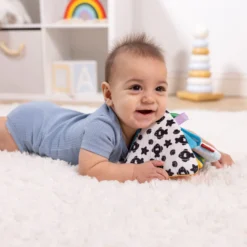 Ocean Tummy Time Triangle Baby Toy