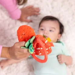 Peek-a-Boo Berry Take-Along Toy
