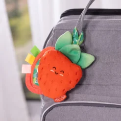 Peek-a-Boo Berry Take-Along Toy