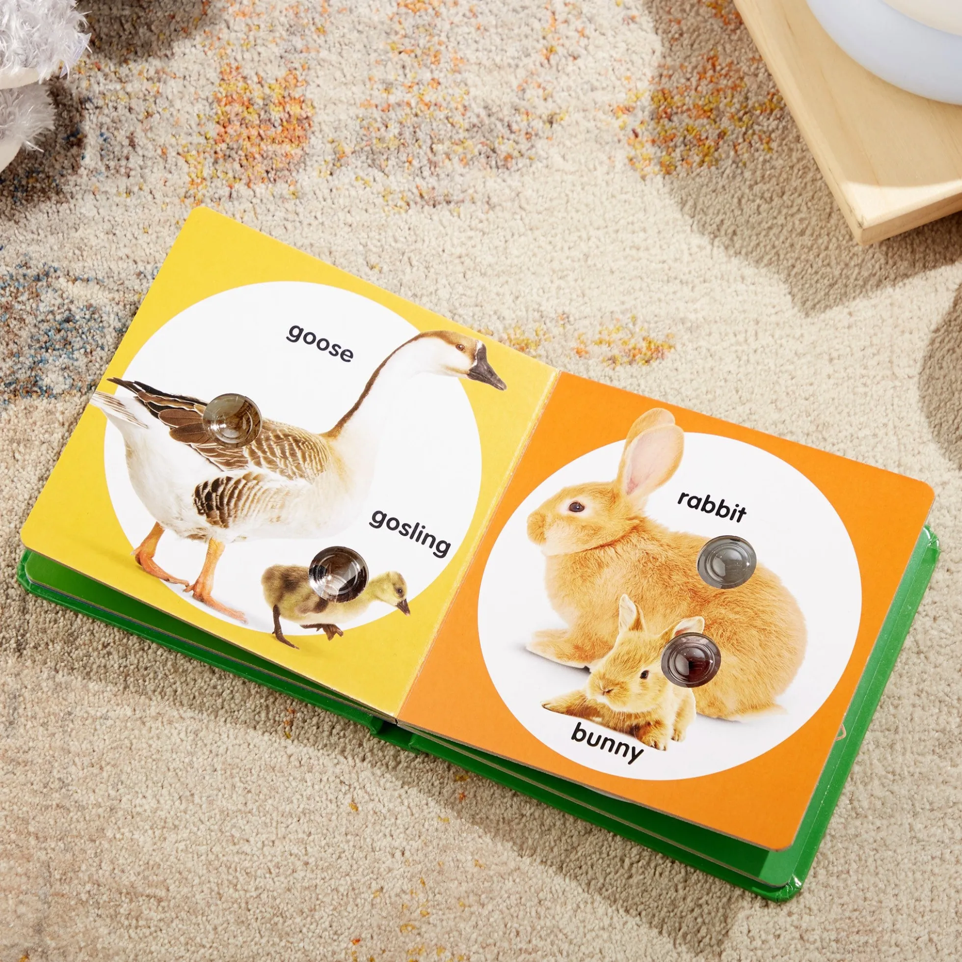 Poke-a-Dot: Farm Animal Families Board Book