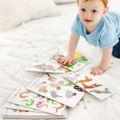 Poke-A-Dot Jumbo Number Learning Cards