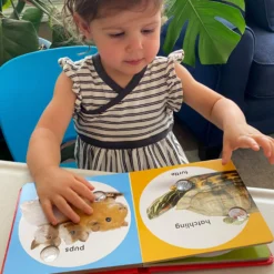 Poke-a-Dot: Pet Families Board Book