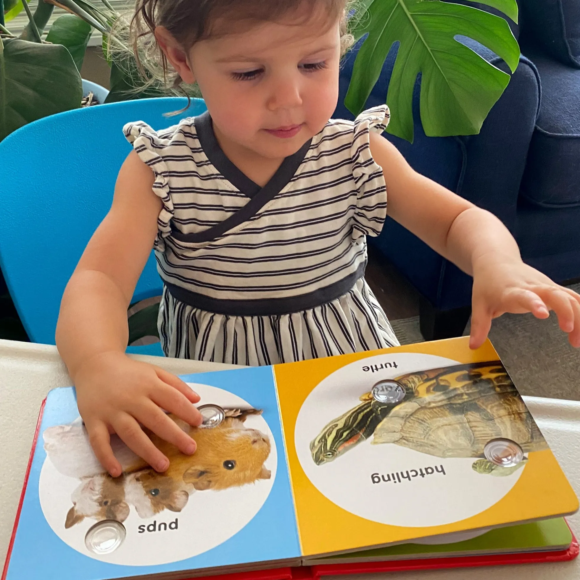Poke-a-Dot: Pet Families Board Book