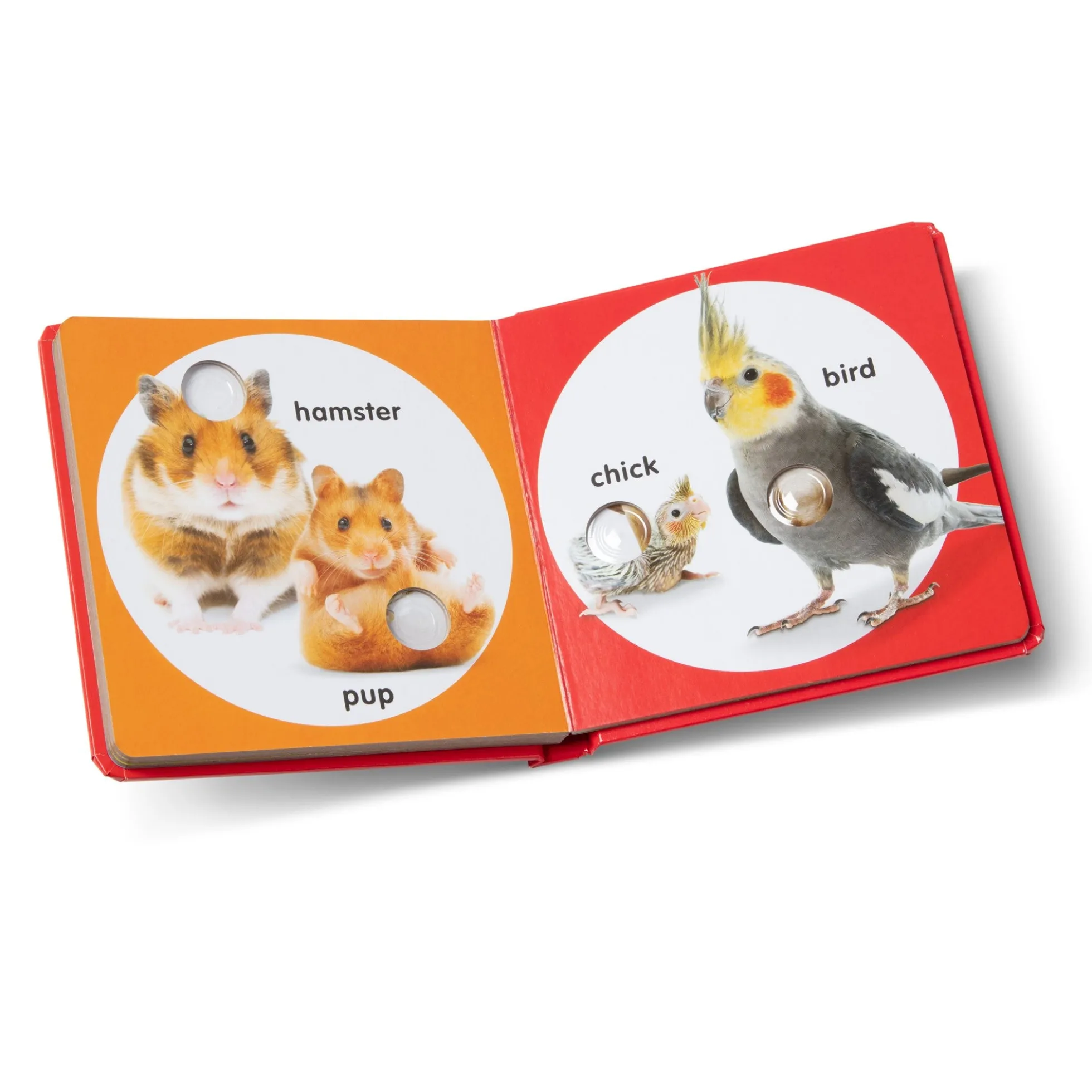 Poke-a-Dot: Pet Families Board Book