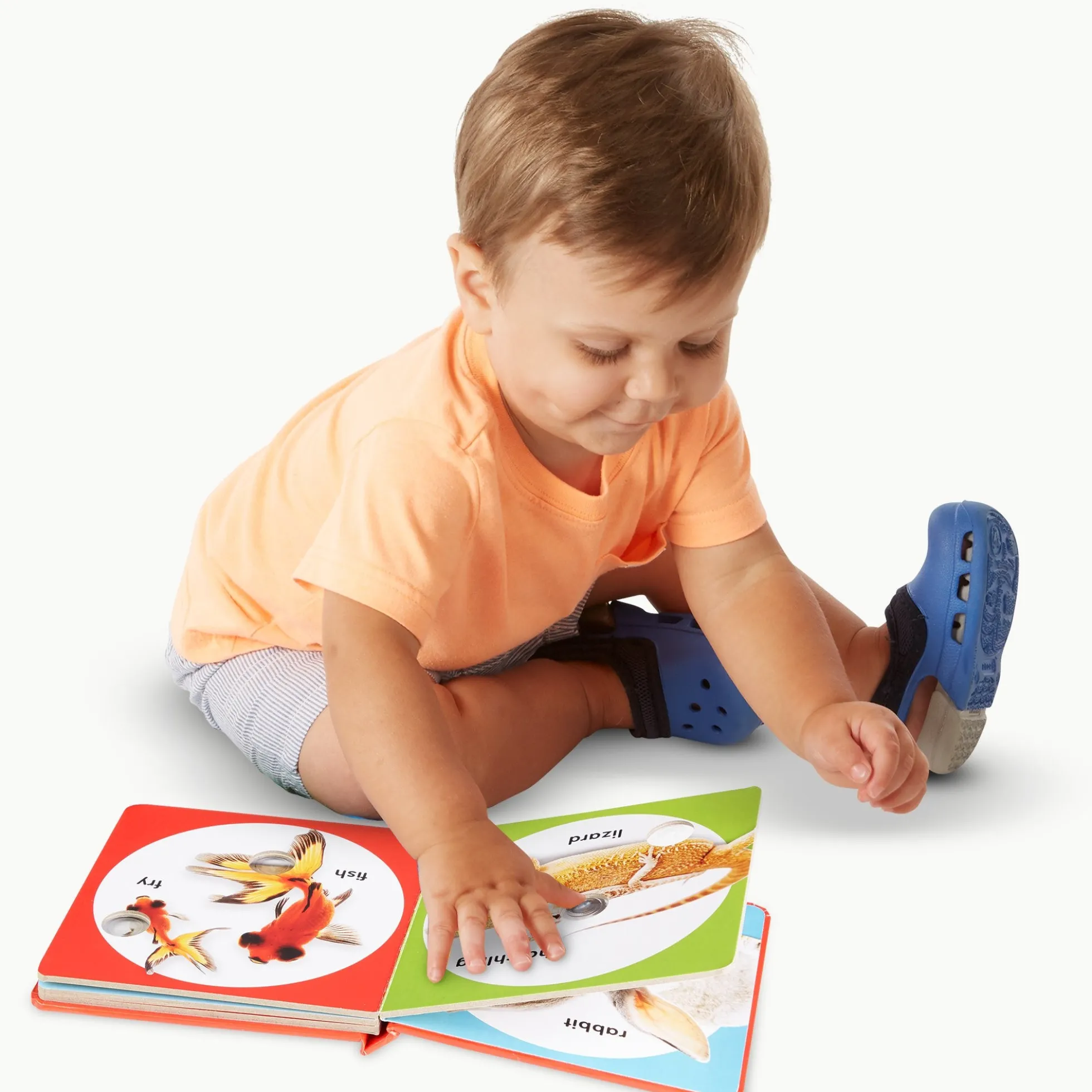 Poke-a-Dot: Pet Families Board Book