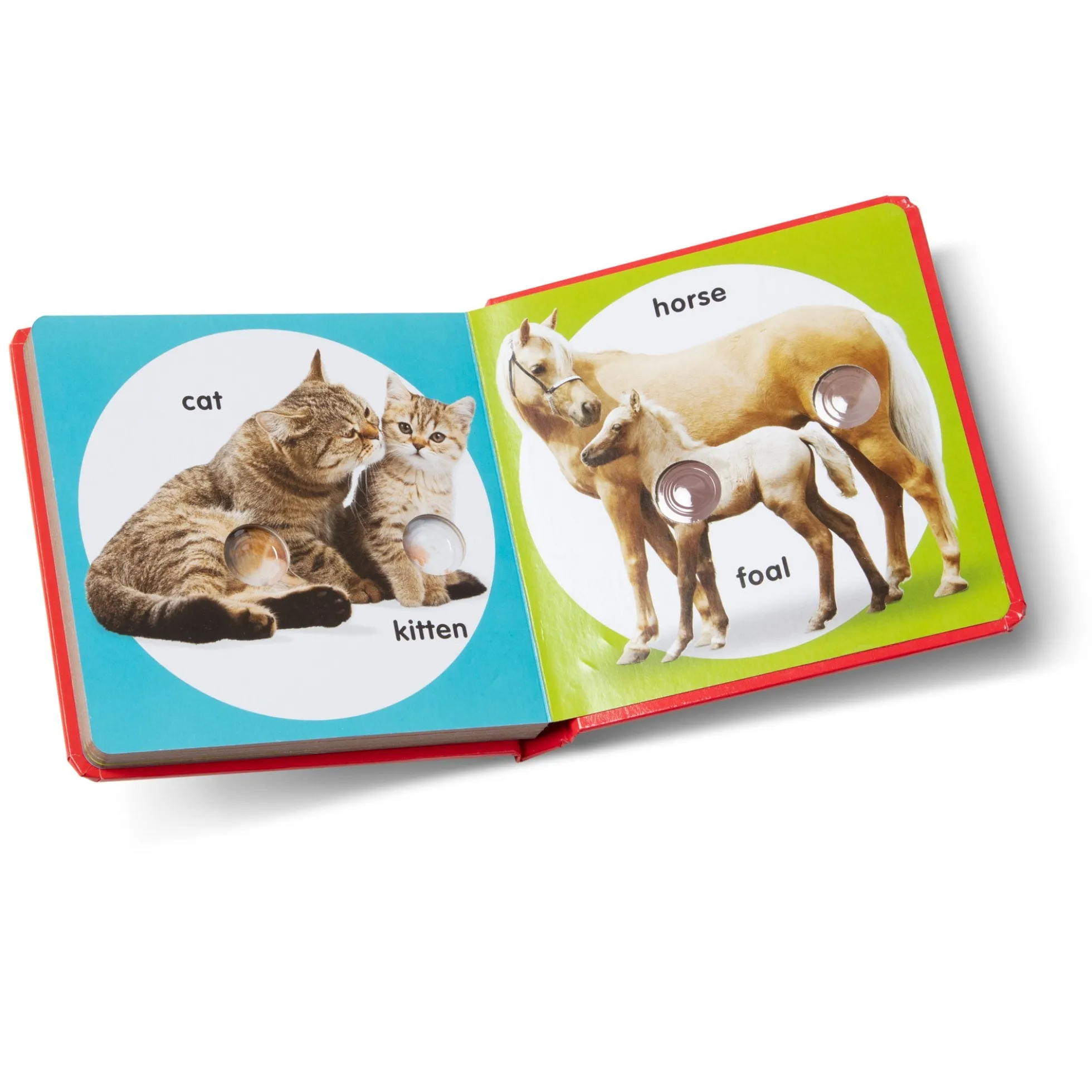 Poke-a-Dot: Pet Families Board Book