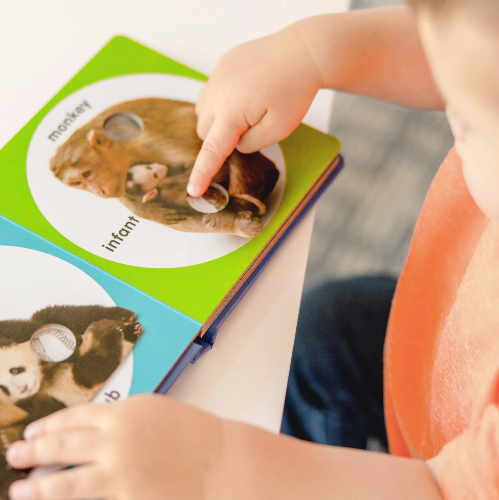 Poke-a-Dot: Wild Animal Families Board Book