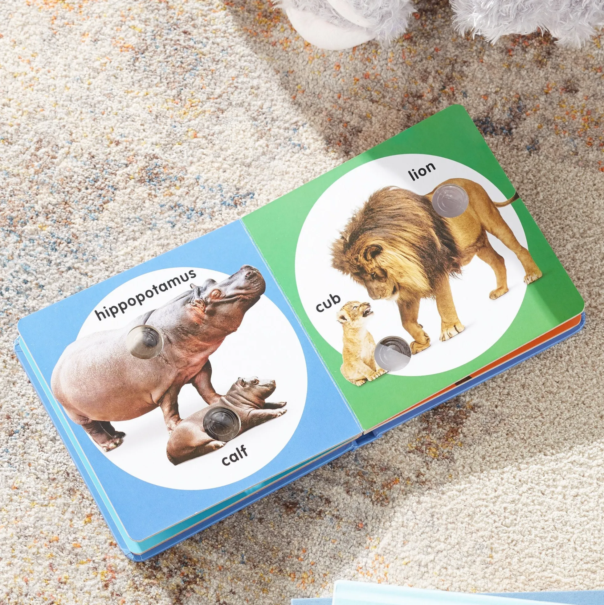 Poke-a-Dot: Wild Animal Families Board Book