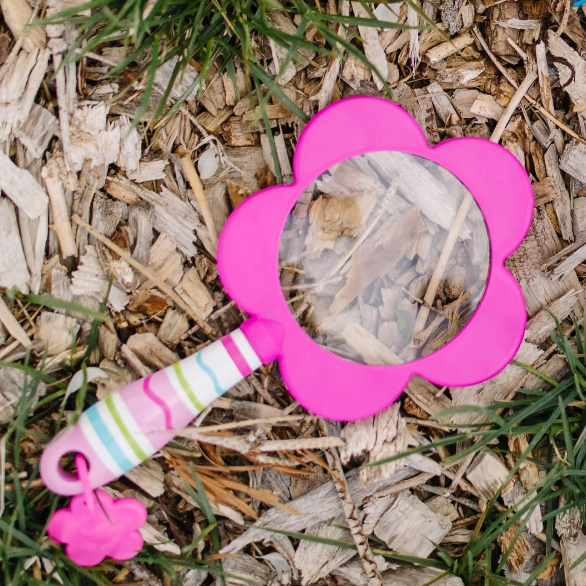 Pretty Petals Magnifier