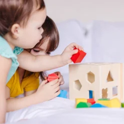Shape-Sorting Cube
