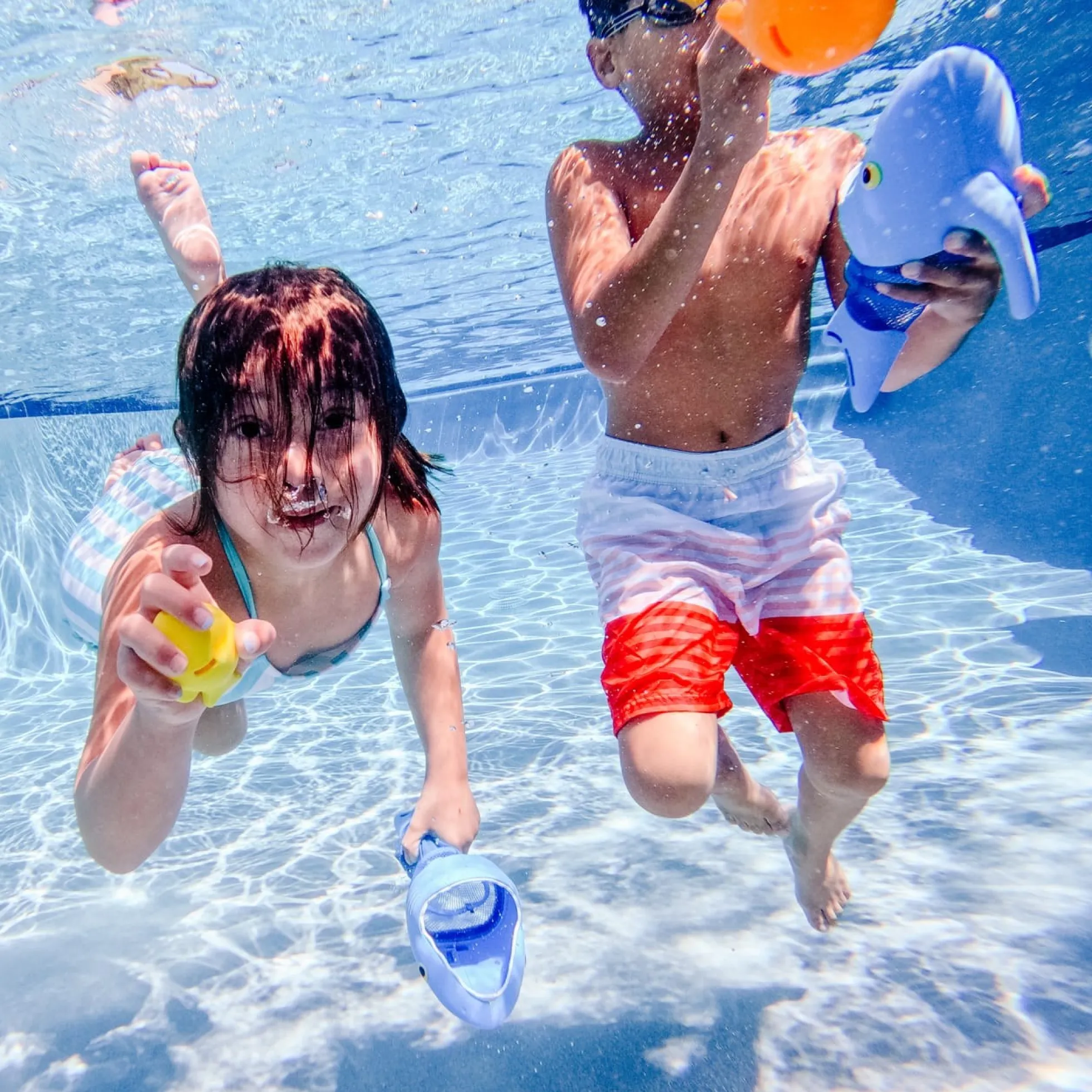 Spark Shark Fish Hunt Pool Toy