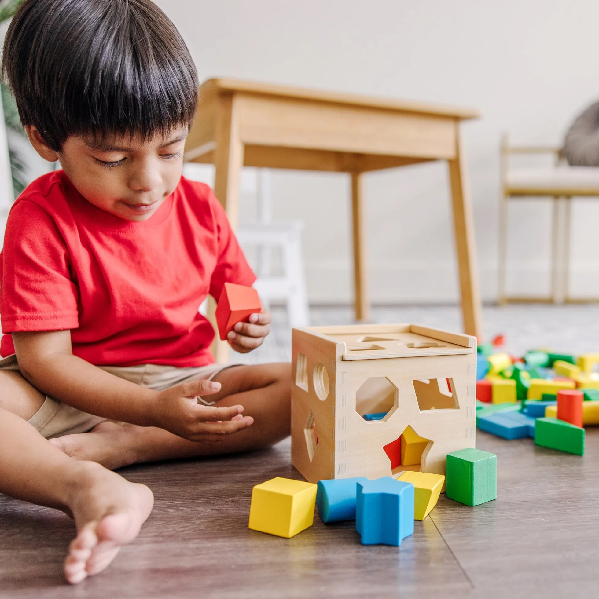 Stack, Sort & Pound Wooden Toy Collection