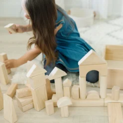 Standard Unit Blocks