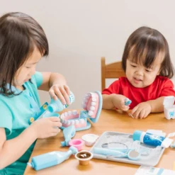 Super Smile Dentist Play Set