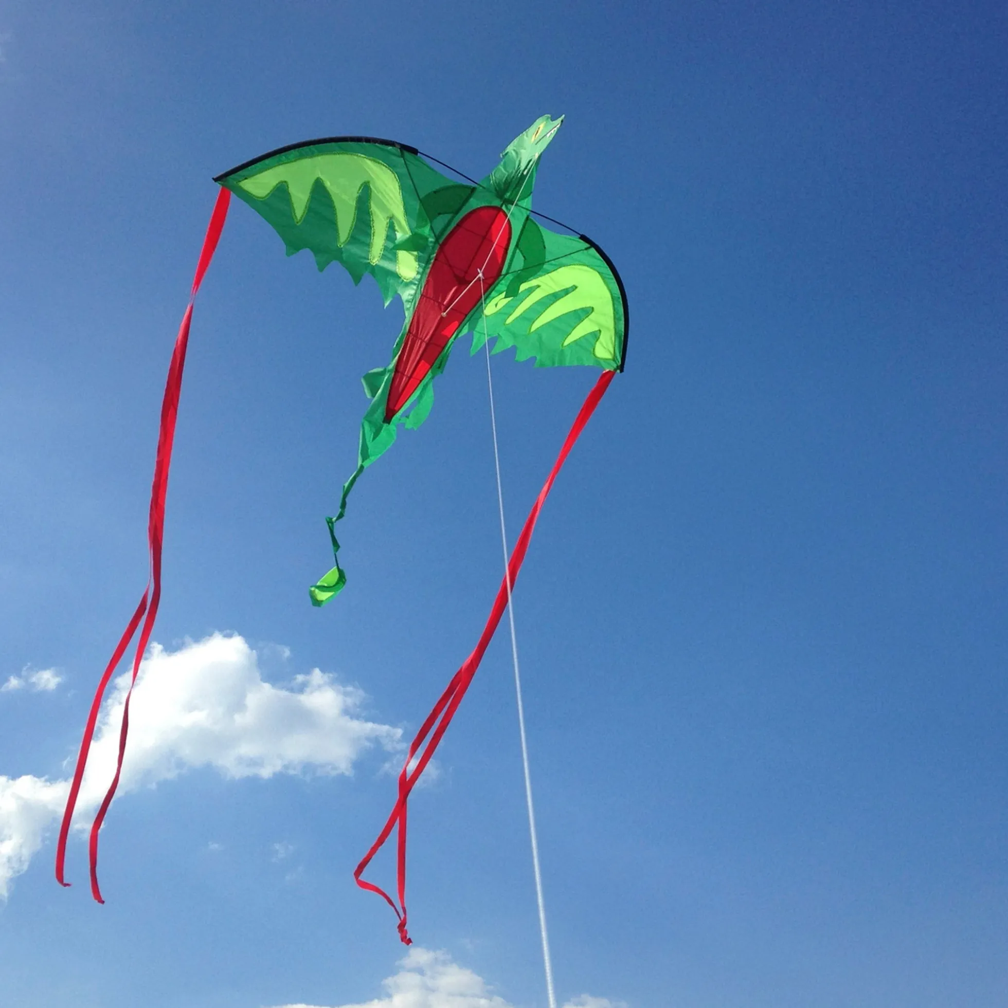 Winged Dragon Shaped Kite