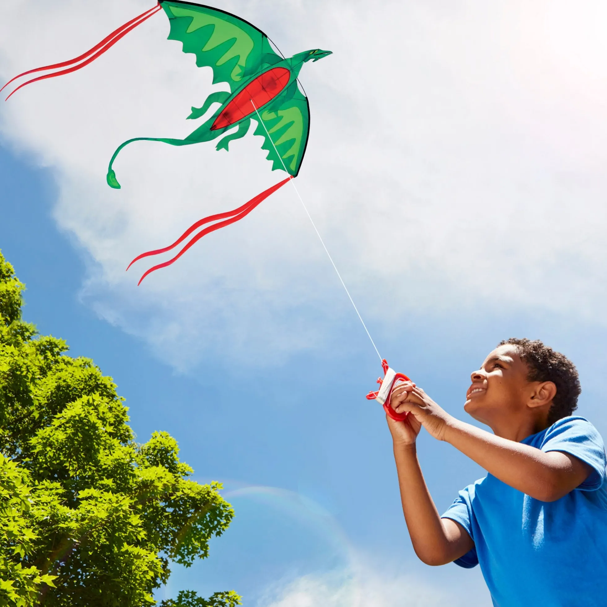 Winged Dragon Shaped Kite