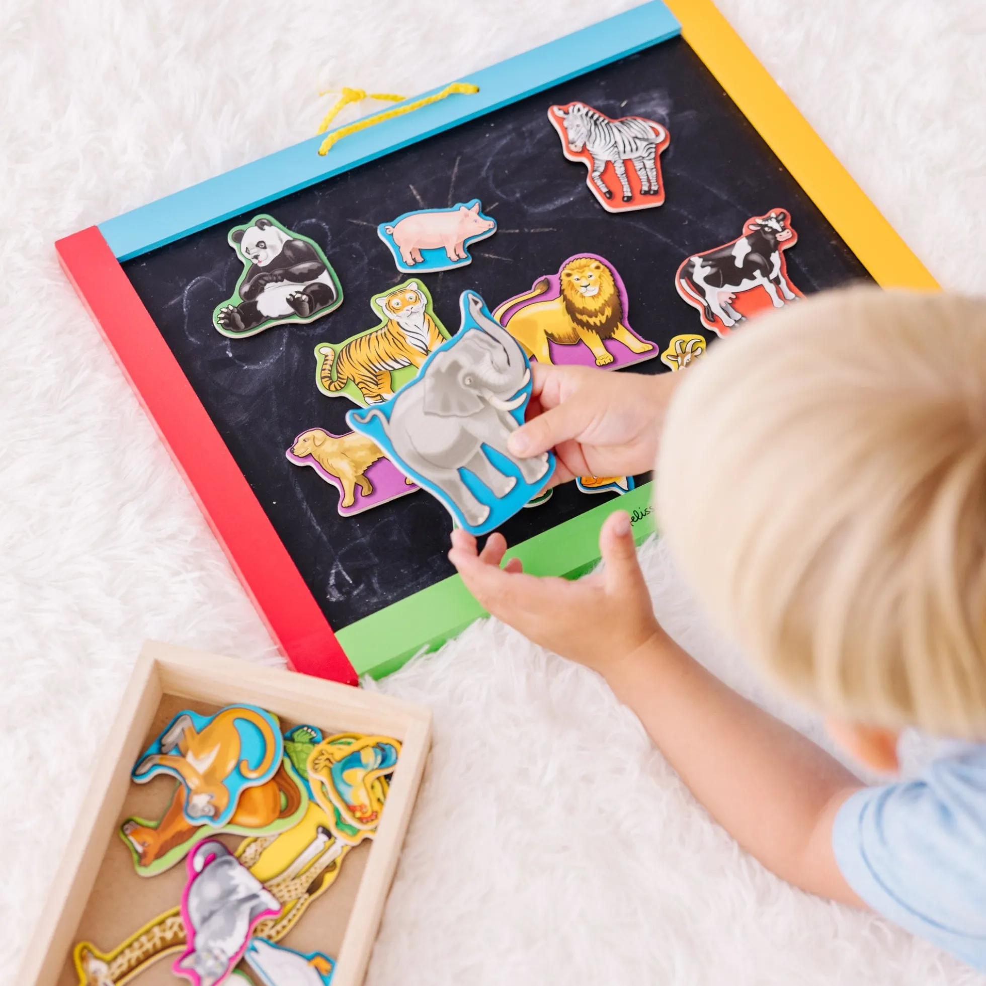 Wooden Animal Magnets
